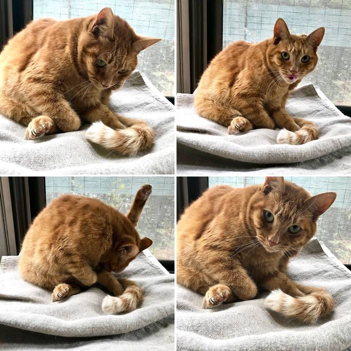 Bfb49725 902e 41cf 8705 42f0a0c89adb 1511169186095