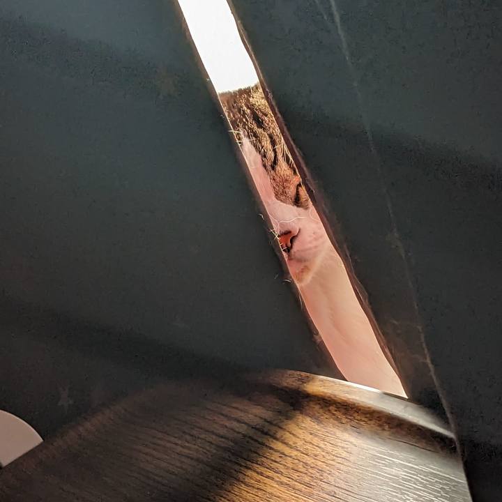 Bfb4b399 167b 49a9 9ba6 8e3a75e94412 1707698009832