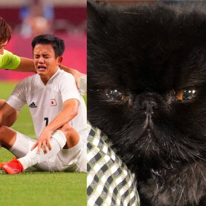 Bfb4b7e2 cc57 44a3 aa3c 42f419dda386 1628258772886