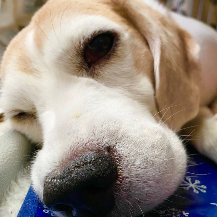 Bfb4db9a 313b 437b a768 b1e8827b81c0 1598499353463