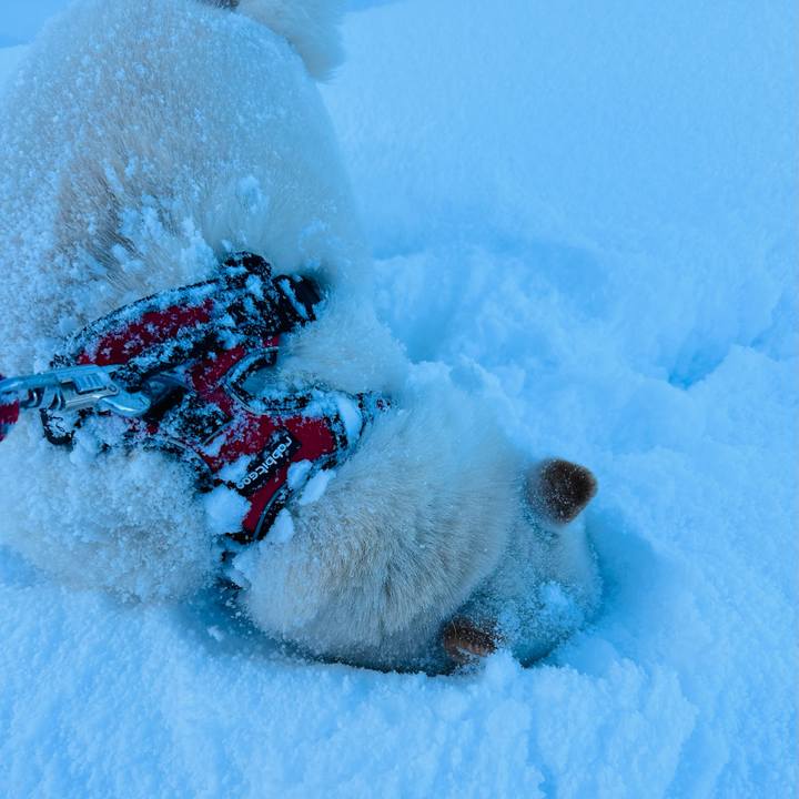 Bfb534b7 4189 4538 9f0f 9fce1c83c219 1710028258785