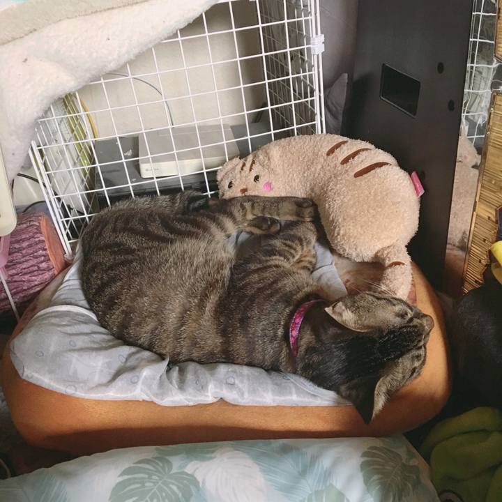 Bfb535be 3a80 4454 992f a165a3c58b32 1560725530175