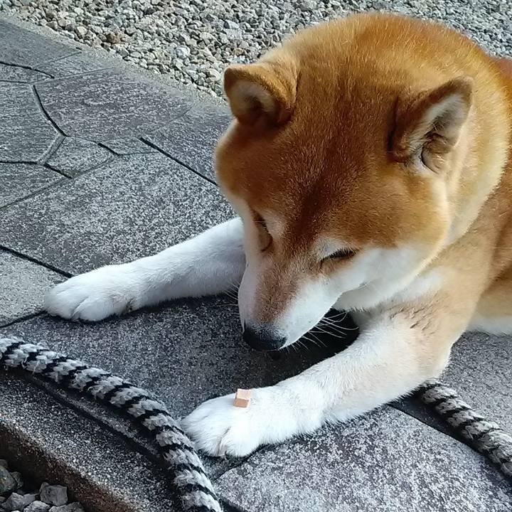 Bfb53f69 ed57 4ff5 8825 1544dd53b090 1689119218088