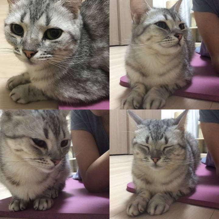 Bfb599cc 9c1d 4532 9015 a1717deebde4 1529142187920