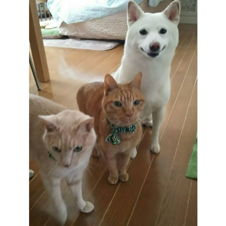 Bfb5a72a e084 48d9 8ecf 6fcf78f11da7 1527139122832