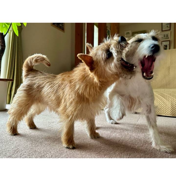 Bfb5cb80 db41 4038 9845 215cec5a80cb 1715831985016