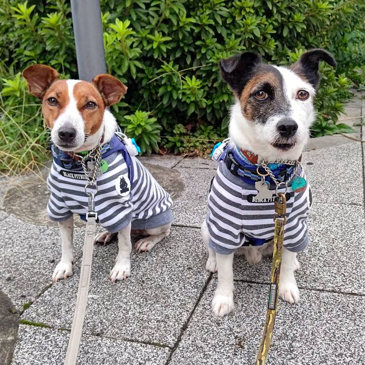 Bfb5ce45 4295 4cda 82bb 6688ac1e6427 1631307283609