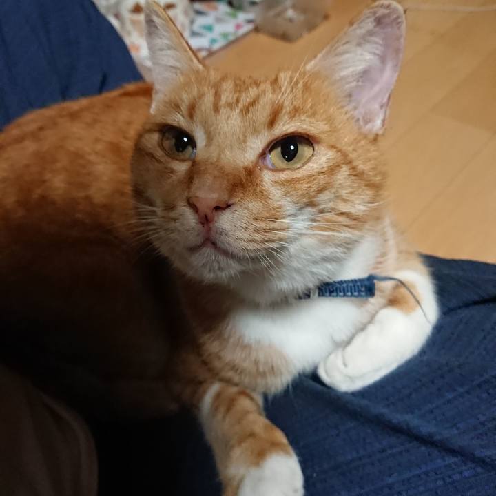 Bfb5cf9b c546 4f29 abaf b97d7b8003be 1600513705643