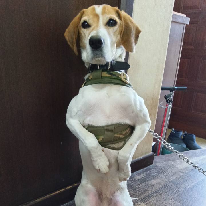 Bfb5d161 7748 4522 a059 0f1e0f51eb49 1736730284708