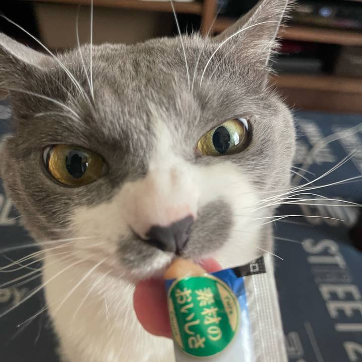 Bfb5ef22 a353 4285 b41d 8fd81c0f1fde 1715061312533