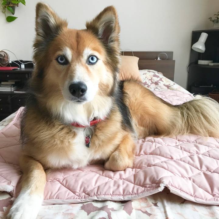 Bfb6050e b2aa 4501 be0c 5515ef496f0a 1571190990225