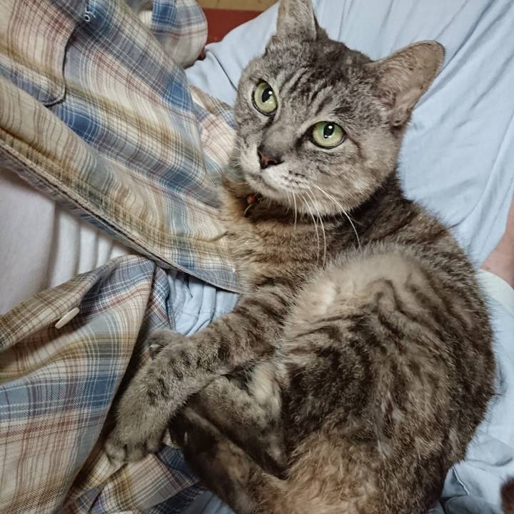 Bfb62877 c574 42ce becb f410fb4e5834 1568500845346