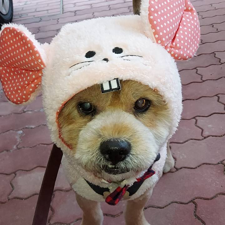 Bfb66ac4 6428 4f30 a277 8464643c72a2 1641894440550