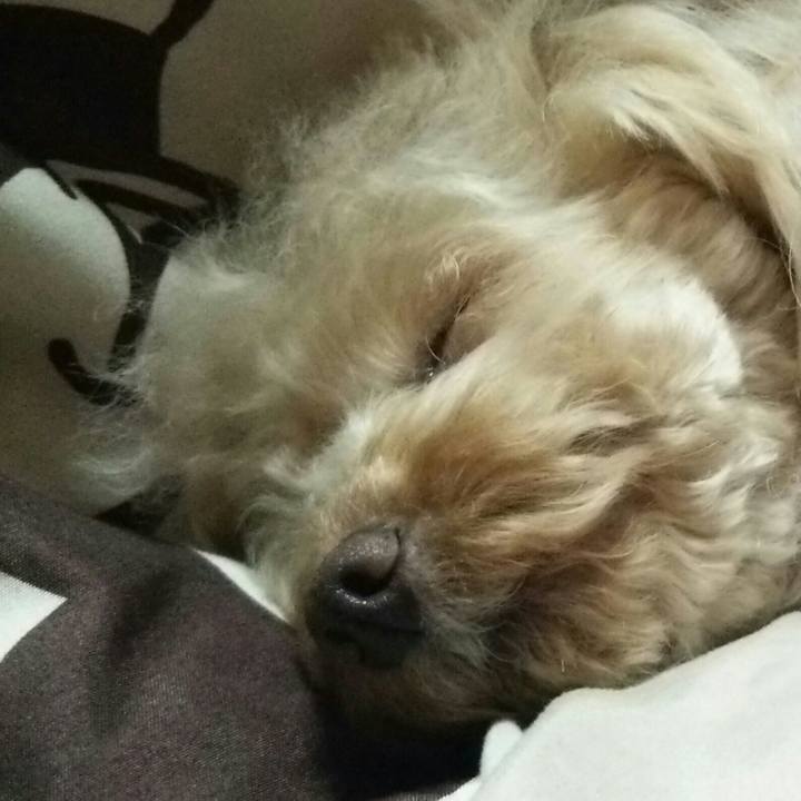 Bfb6746f 0ed7 4280 b9c8 fc93d6b8918f 1548162919881