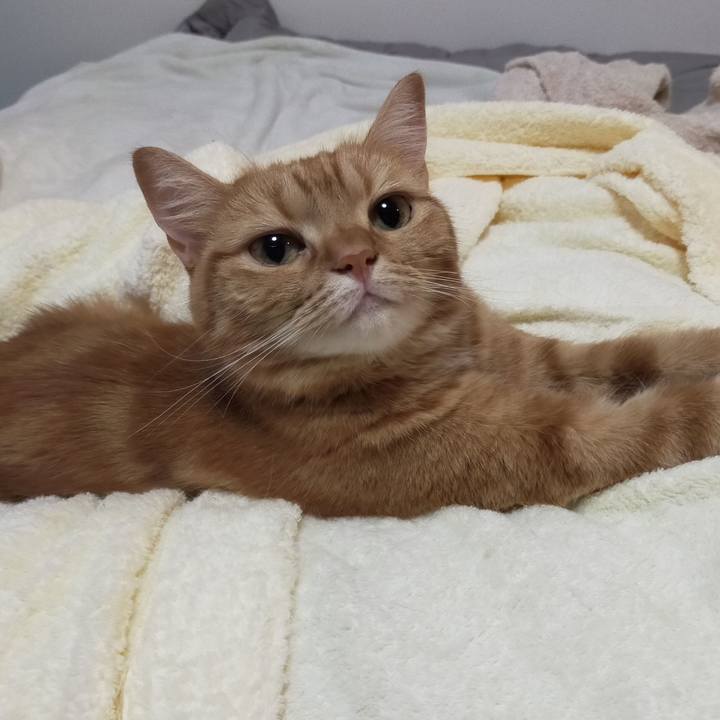 Bfb67bed f31f 4ce8 8e01 c1953aa54310 1601078984698