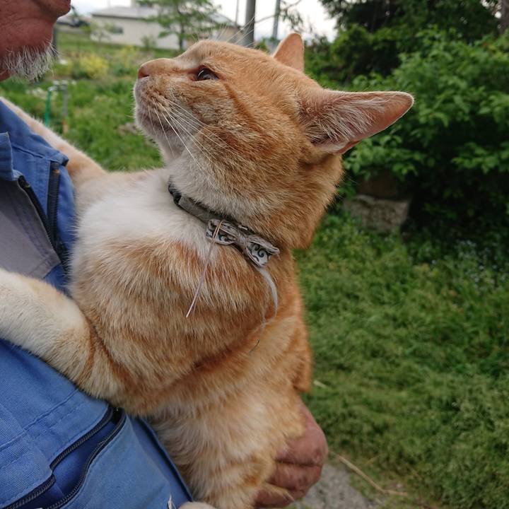 Bfb696d3 ffaa 443f 9f54 1a5076fb479a 1589596440076