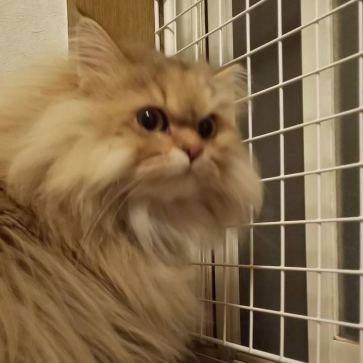 Bfb6b165 7589 42bb 84a8 acfb49e22ba3 1611057366595