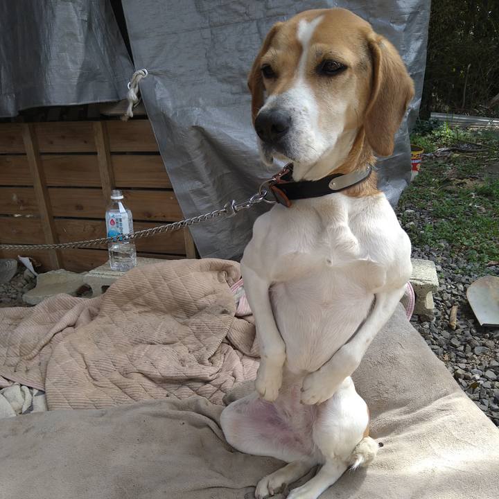 Bfb6b9d0 3c12 4e38 bf2d e377e5535dca 1647493768192