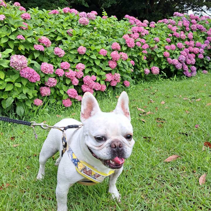 Bfb6ec45 77b1 46ab 8d80 4ba093e4516a 1719630791500