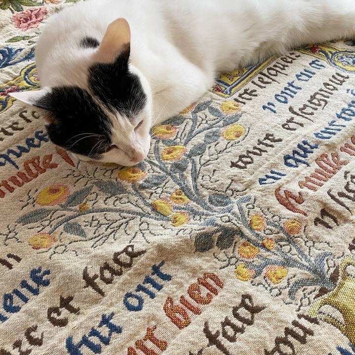 Bfb6f458 0553 486d 9516 11bf54b37945 1593046843275