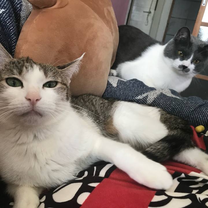 Bfb74345 b670 4e4c a573 172f86be1f24 1721988137237