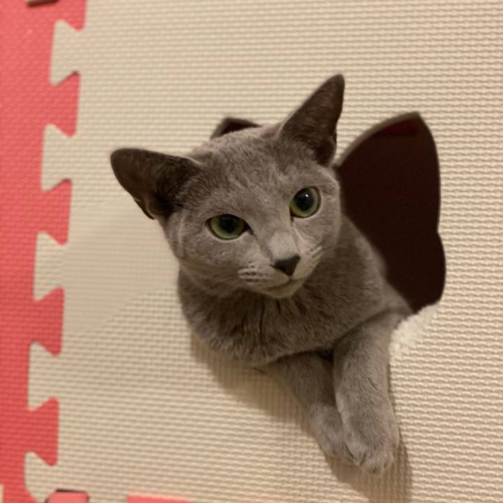 Bfb75116 e00b 43bb 89fe 779cd25da888 1610542170253