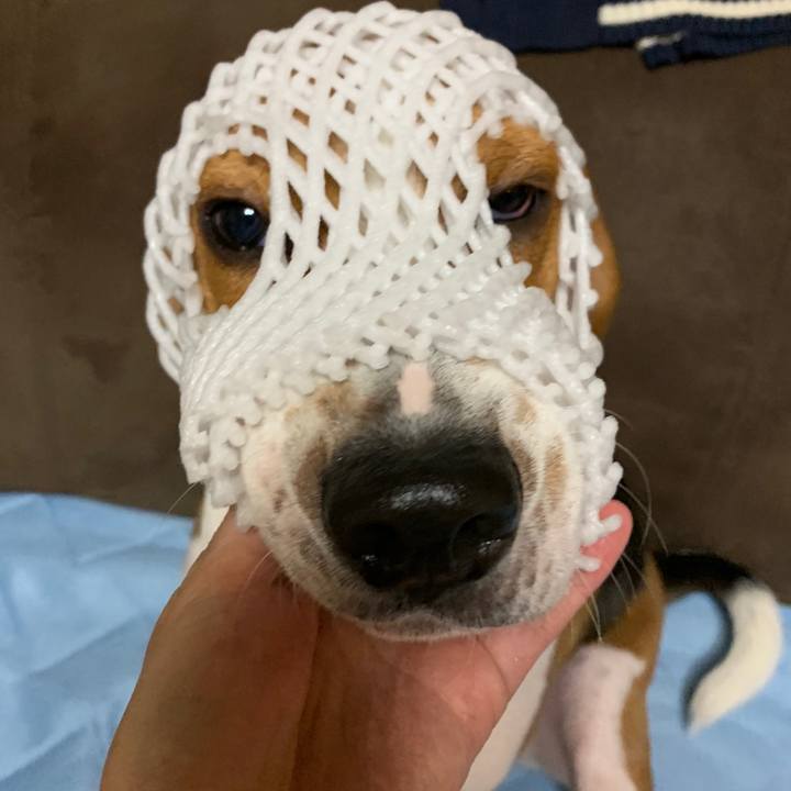 Bfb7e1ac 7870 4632 a75e bdada4e1ca9a 1540823072870