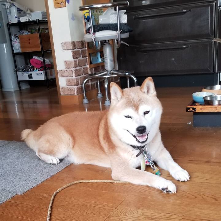 Bfb7f8b8 8919 4e0e a199 01025851efe5 1693627837524