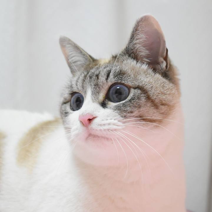 Bfb80e27 d171 4cd2 9396 885490f3911d 1514127720962