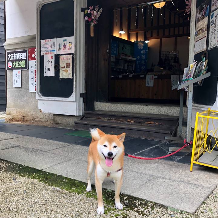 Bfb87455 33db 44a9 a3c8 773284682acf 1562576766874