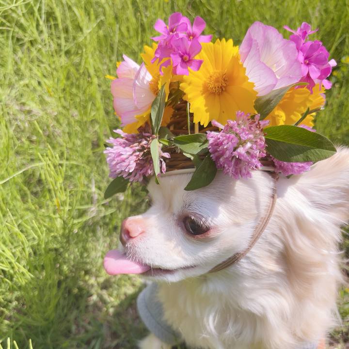 Bfb88612 d815 4cc0 a7ef e9264625058f 1747112133607