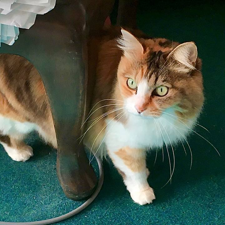 Bfb8de66 5914 4d2f 819e 71bd4063876f 1582170949223