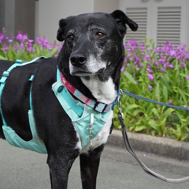 Bfb93c8f 697b 49e1 91b8 2a6356a42e78 1776387405239