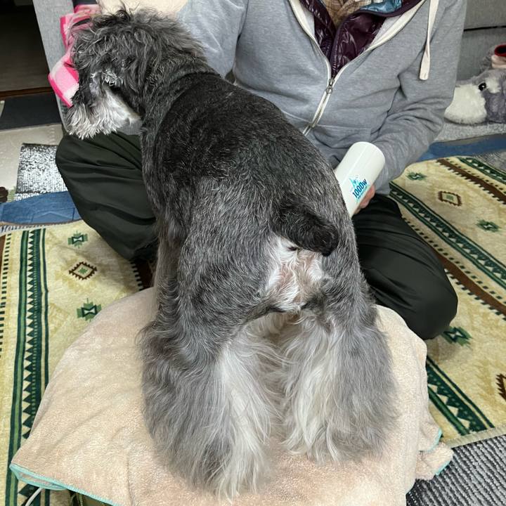 Bfb95318 777e 4d41 9406 799ffa2dbdf4 1736777937625