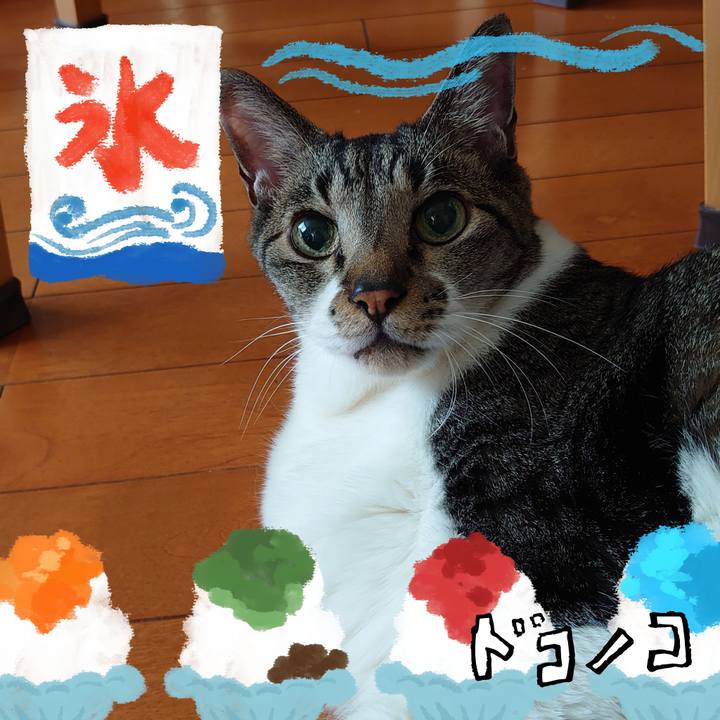 Bfb95b2c c5aa 4211 8efe 6e489a1a4068 1723249448085