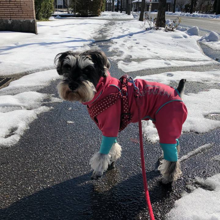 Bfb95ce3 3cd4 4987 9e17 a6b294a7472d 1548564047538