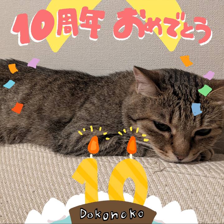 Bfb96c22 2170 48eb bd30 8daaff8c03bd 1780701139475