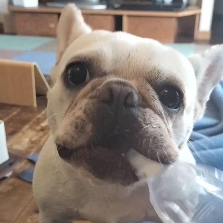 Bfb9a0ef 2d65 4780 8190 c66003737e05 1688278028198