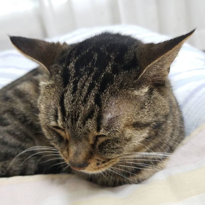 Bfb9dbda b41a 41c1 9620 c51a1b2767ed 1594330277078