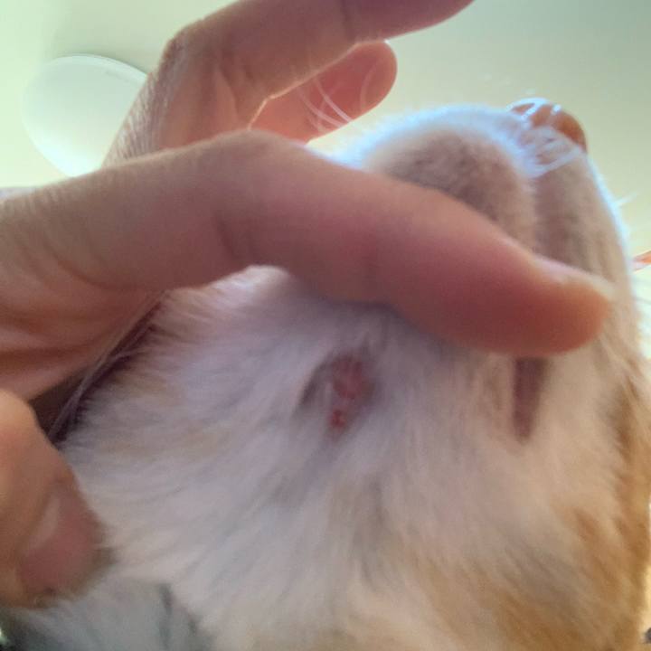 Bfba2501 1522 47c7 9e81 b2e70aa9db2d 1609644186343