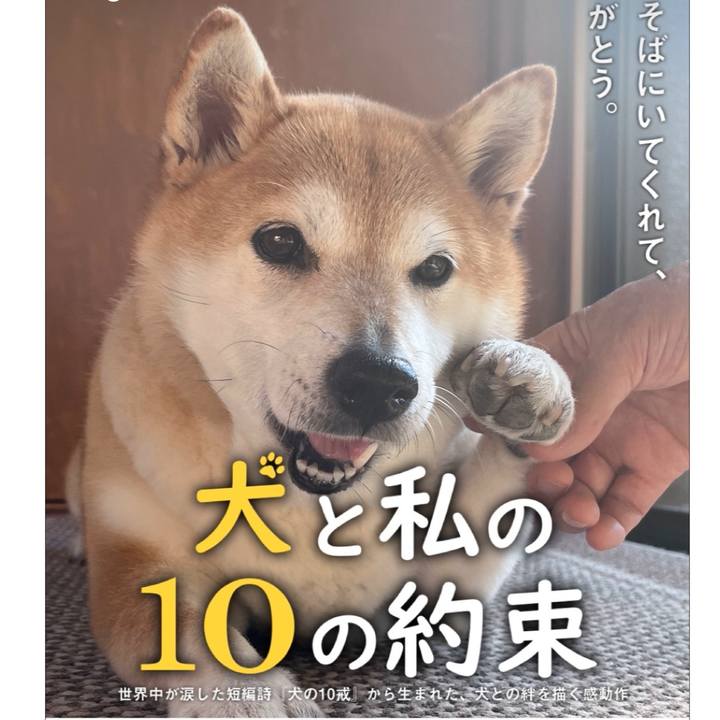 Bfba2510 2a78 4bd1 a043 a966d06f3305 1708402647538