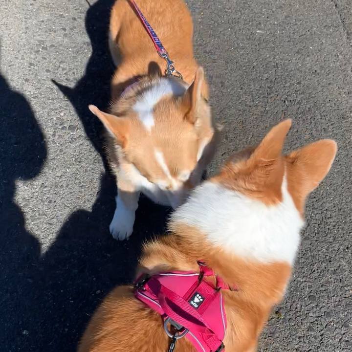 Bfba2598 fac2 4ce9 9a96 ad38b0ff4fc7 1699933201962