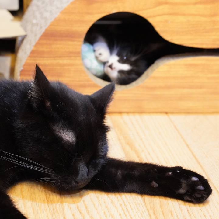 Bfba5148 9511 4389 914b f30f83156d9c 1568035297551