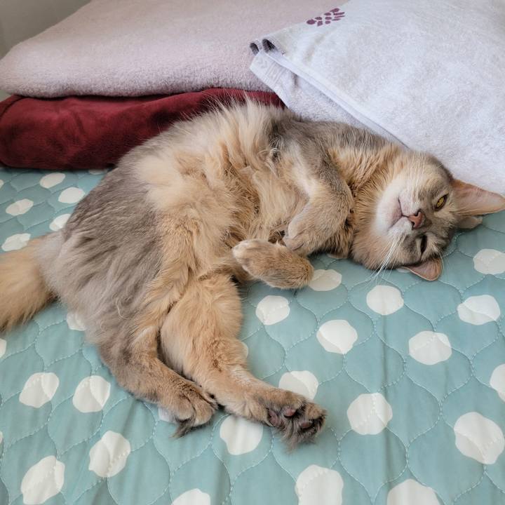 Bfba7496 e824 411e b648 0fa1cb8facb4 1656984525719