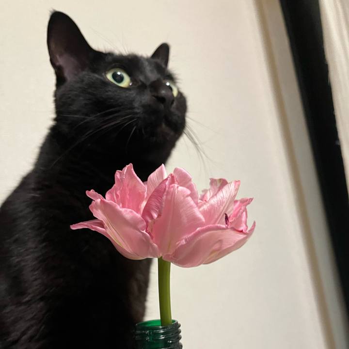 Bfba8249 be3e 4f39 abea b8edb0765548 1710551553817