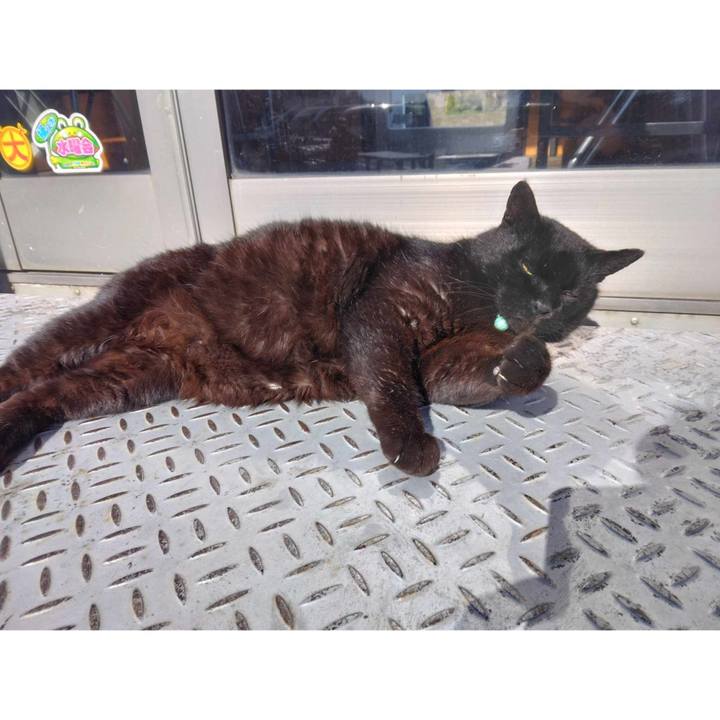 Bfba8767 903c 4543 a379 8a6269e40587 1711526604550