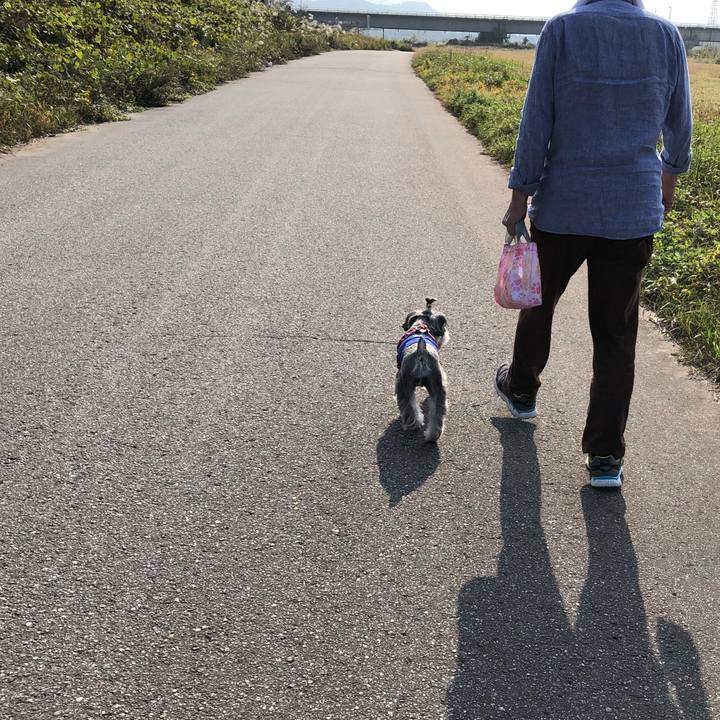 Bfbaae0d 01f6 4820 9999 f065a73d5b44 1541902582930