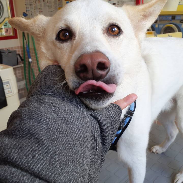 Bfbab734 5041 48bd 8f38 87258f4aba55 1670477601497