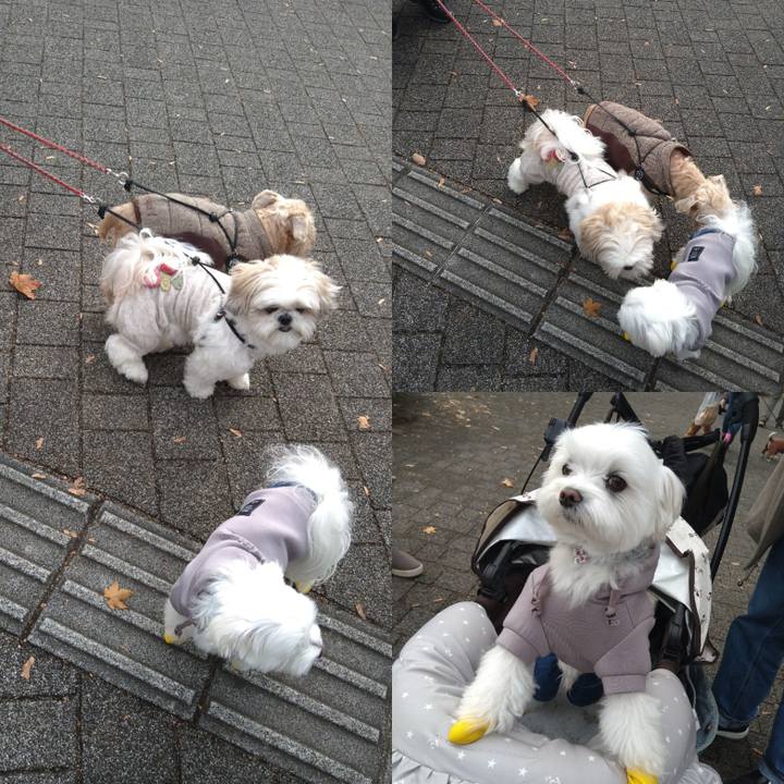 Bfbaeb9b 5fb3 44b2 82eb 8f14f3a010eb 1669447784592