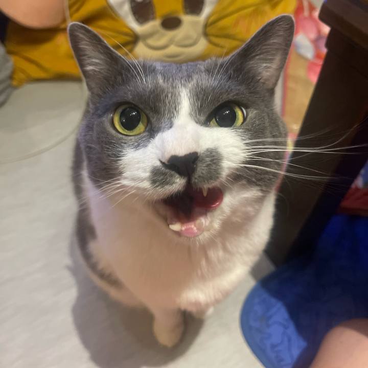 Bfbb334b 3cf1 4a93 a0a5 bae38154c5fa 1751973832123